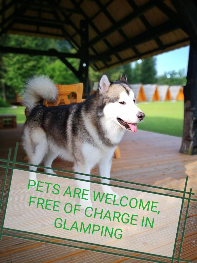 Glamping Forest Edge Камник Экстерьер фото