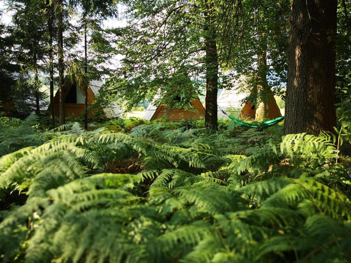 Glamping Forest Edge Камник Экстерьер фото